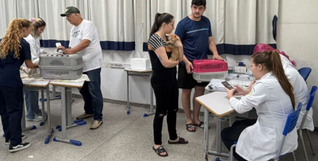 Foto: Prefeitura de Joinville/Divulgaçã - 