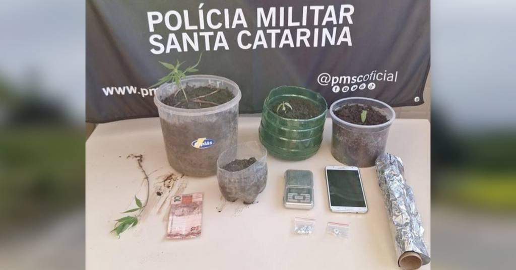 Adolescente é apreendido com pés de maconha dentro de casa em Mafra