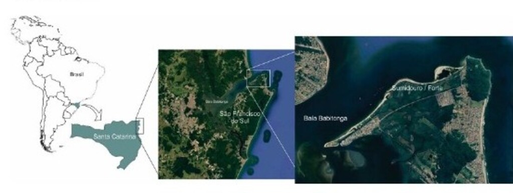 📢 Convite à comunidade AUDIÊNCIA PÚBLICA DISCUTE INSTALÇÃO DO EMPREENDIMENTO PORTO BRASIL SUL