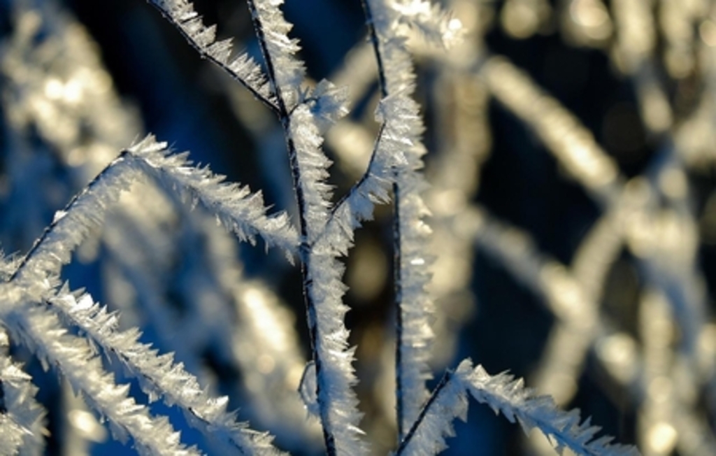 Frente fria derruba temperaturas e Defesa Civil alerta para risco de hipotermia em SC