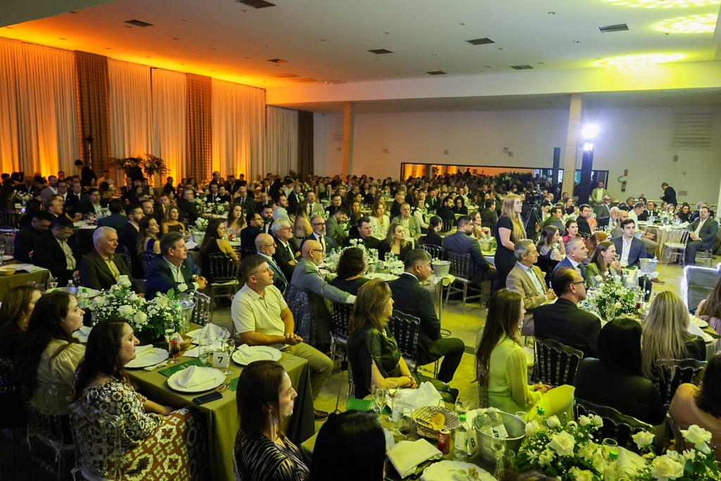Imagem 7
