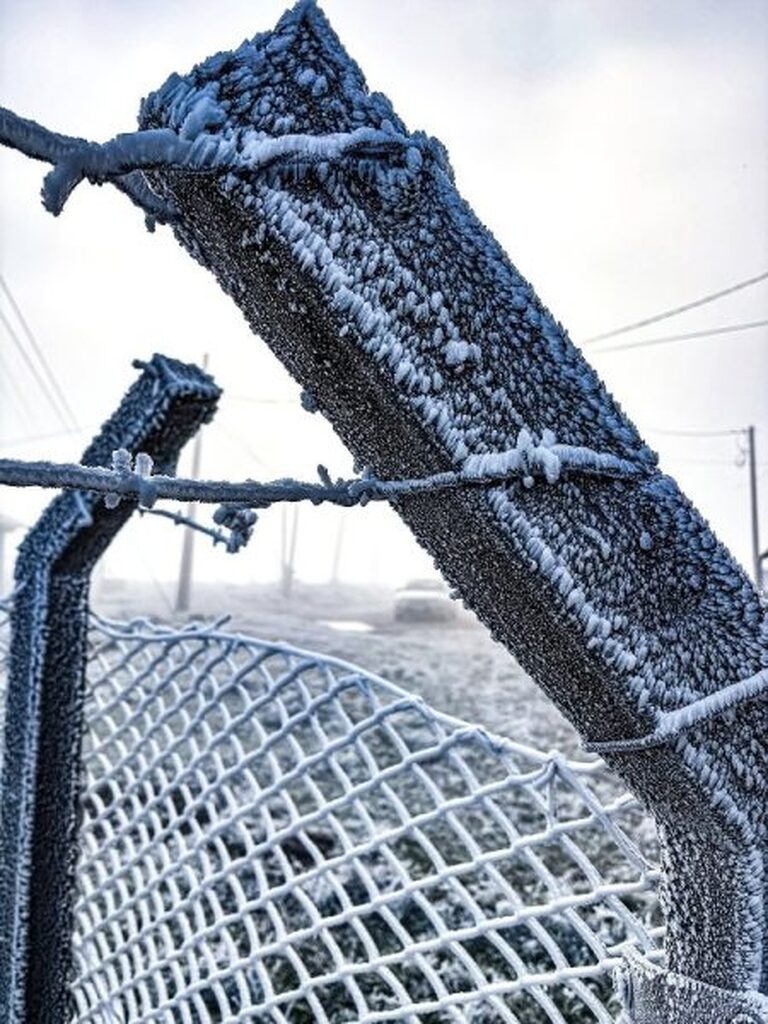 https://suitacdn.cloud-bricks.net/fotos/15869721/file/desktop/foto-urupema-3-450x600.jpeg?1778528484
