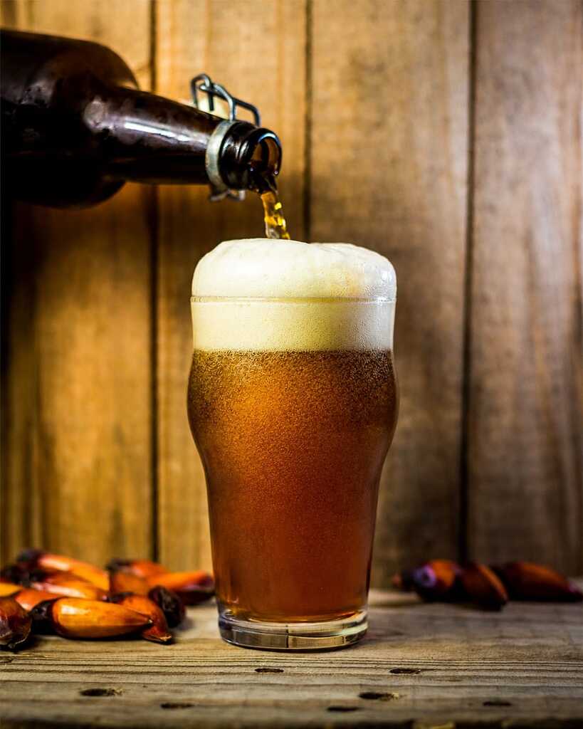 Pinhão inspira cerveja artesanal criada especialmente para a Festa Nacional do Pinhão em Lages
