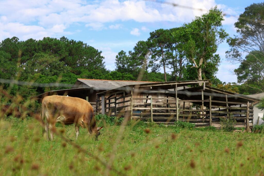 Crimes contra o agronegócio reduzem 9% em Santa Catarina