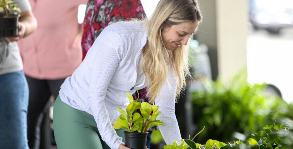 Feira Direto do Campo movimenta produtores rurais e consumidores em Joinville