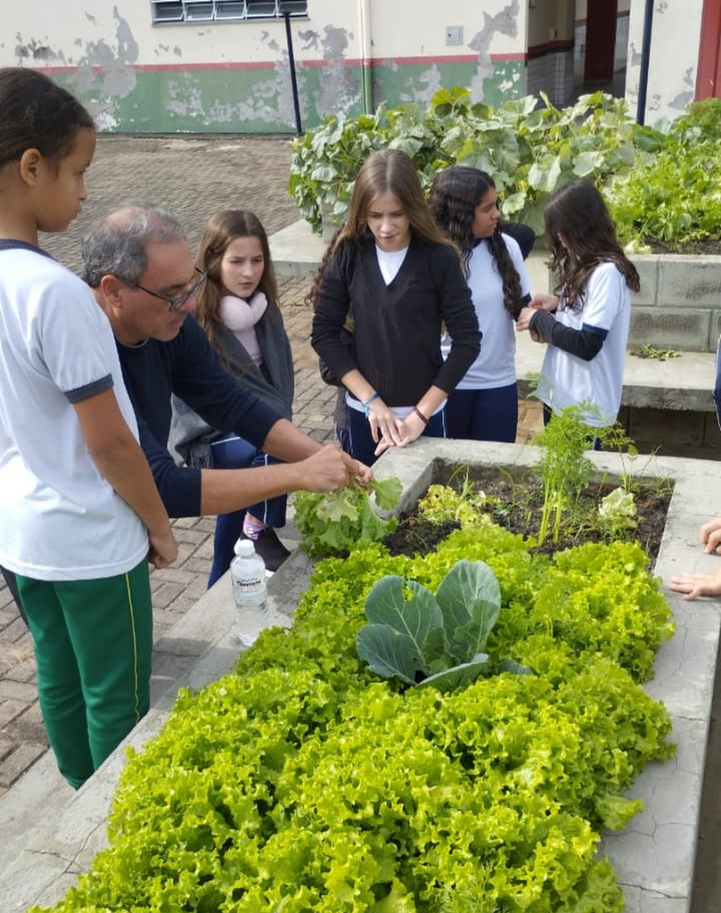 DA TERRA AO PRATO: ESCOLA TRANSFORMA HORTA EM AULA VIVA SOBRE SUSTENTABILIDADE