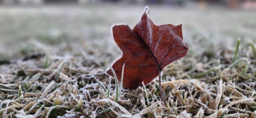 Frio intenso chega a Santa Catarina nesta quinta-feira com mínimas de -5°C