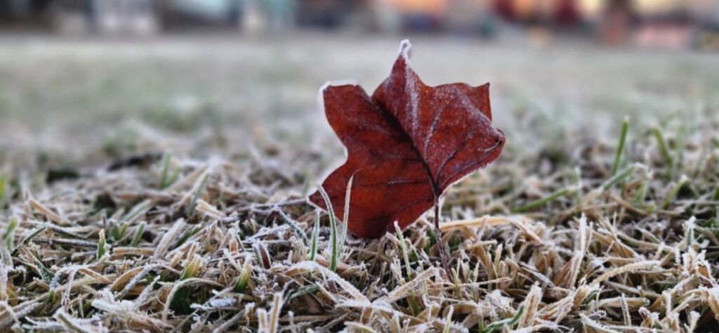 Frio intenso chega a Santa Catarina na quinta-feira, dia 21, com mínimas de -5°C
