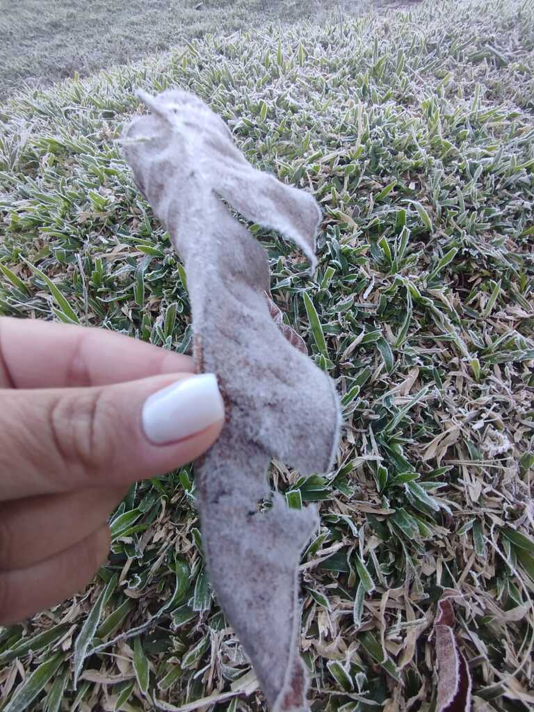 Imagem galeria