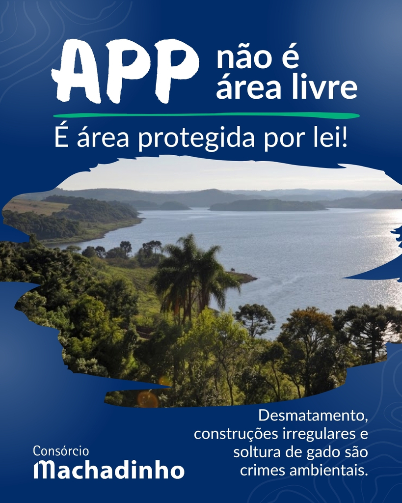 APP não é área livre: uso indevido é crime ambiental