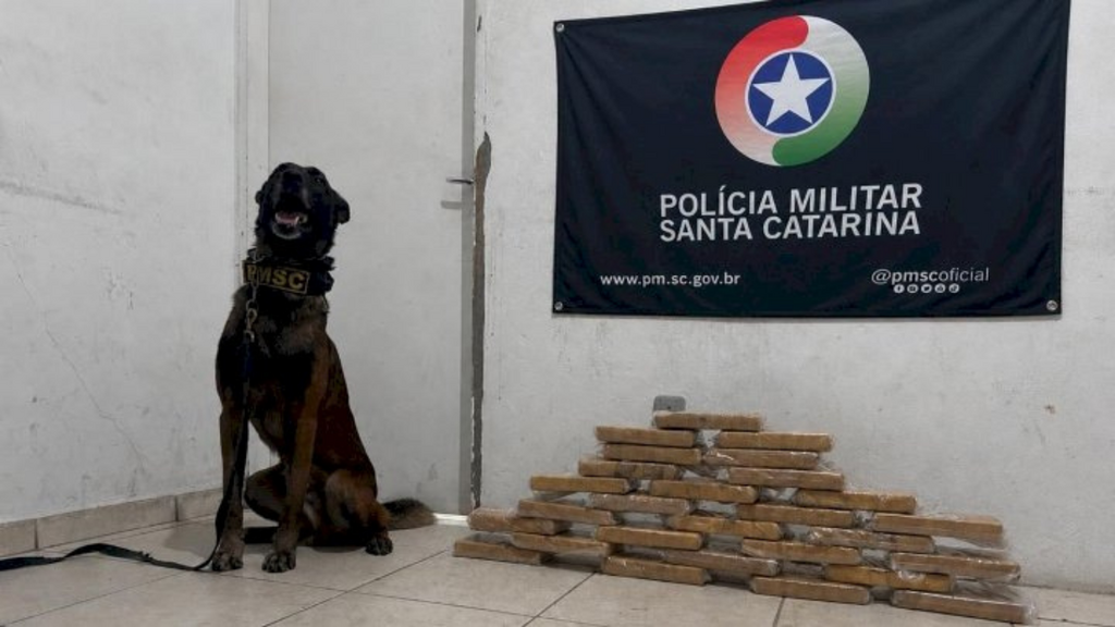 Polícia Militar apreende quase 30 kg de cocaína escondidos em veículo na BR-101 em Paulo Lopes