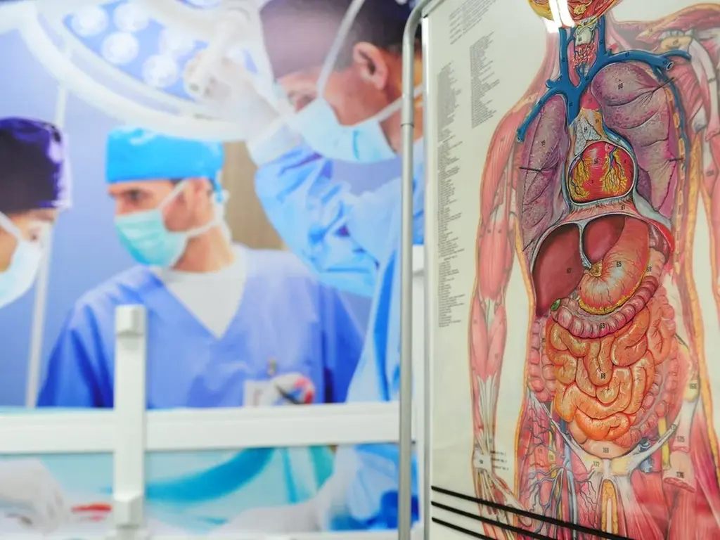 Doenças Inflamatórias Intestinais afetam 10 milhões de pessoas