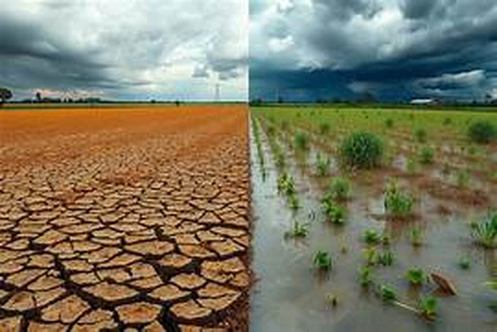 Com avanço do El Niño, produtor rural deve enfrentar segundo semestre de extremos climáticos