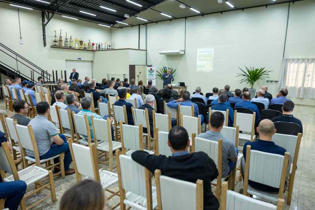 Imagem 2
