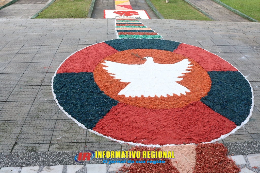 Imagem 8