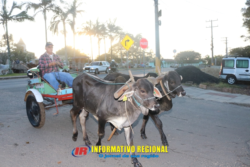Imagem 11
