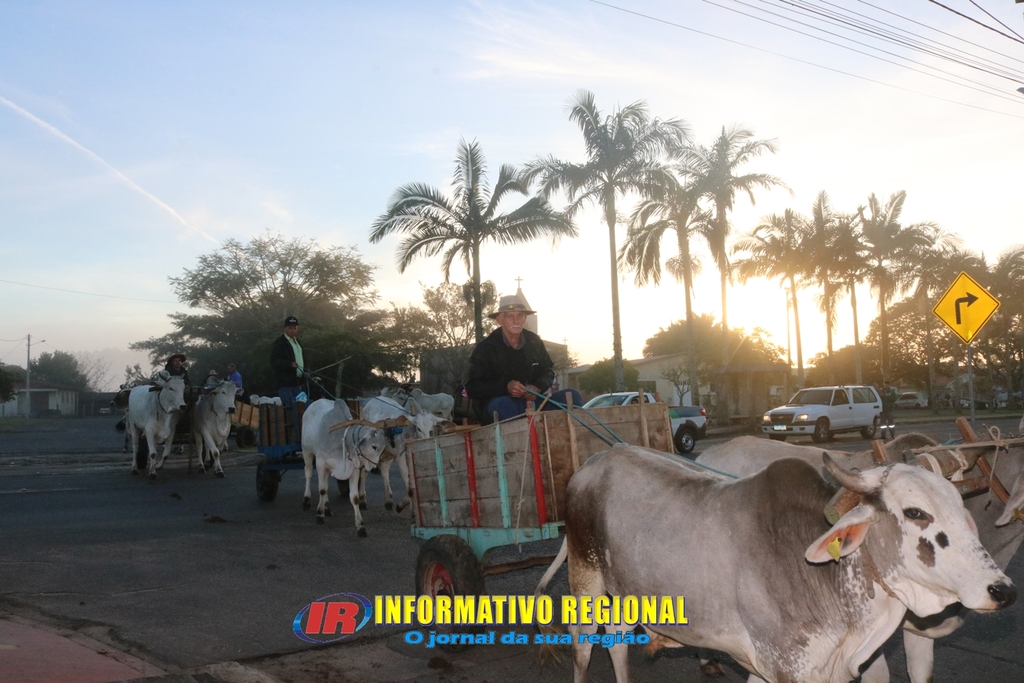 Imagem 15