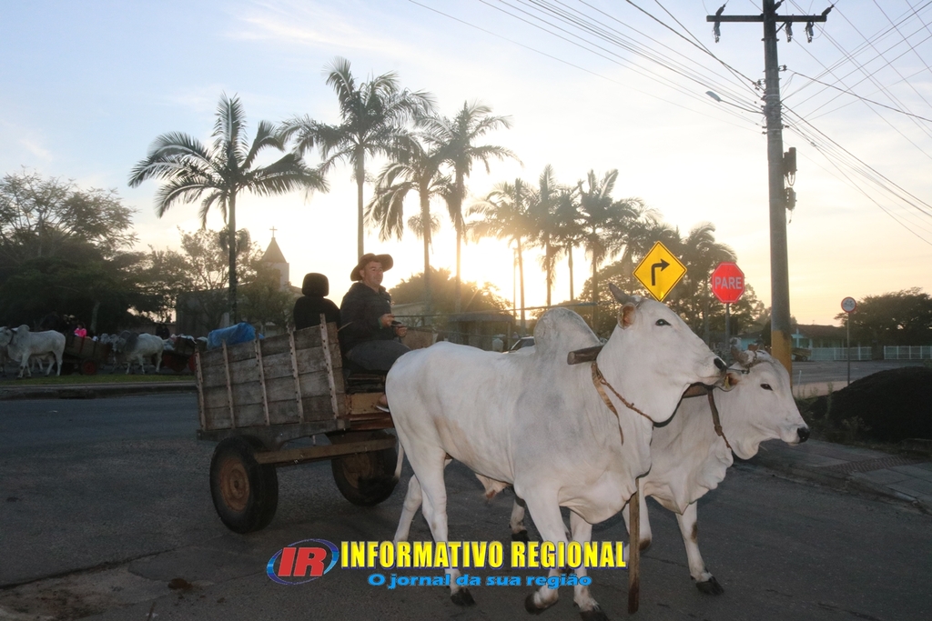 Imagem 16