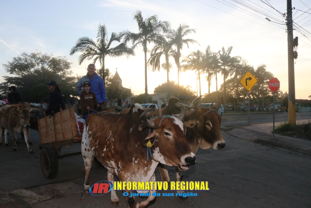 Imagem 17