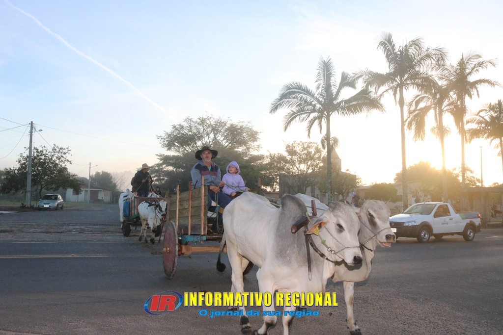 Imagem 21