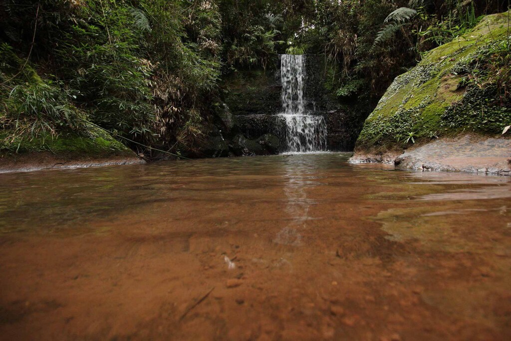 Imagem Artigo Geral Comunidade pode visitar o Parque Natural Municipal de Lages