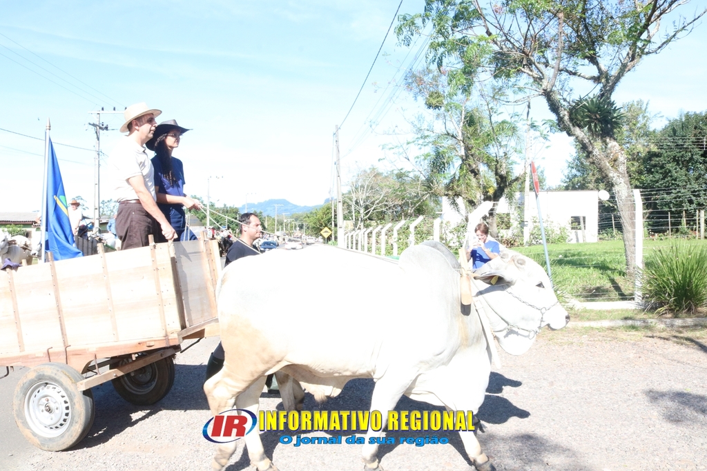Imagem 14