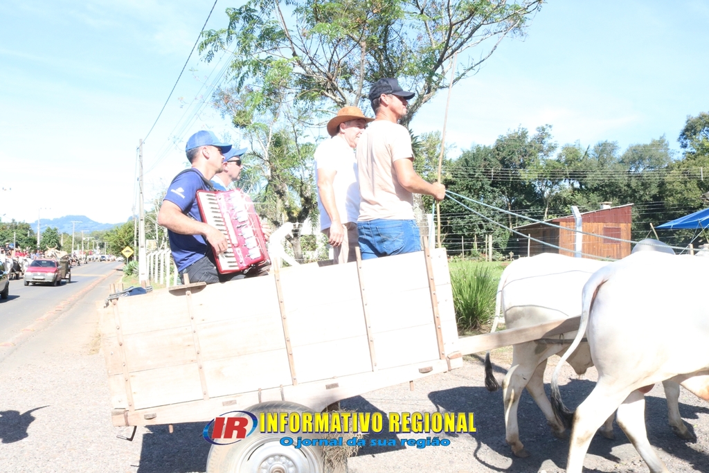 Imagem 16