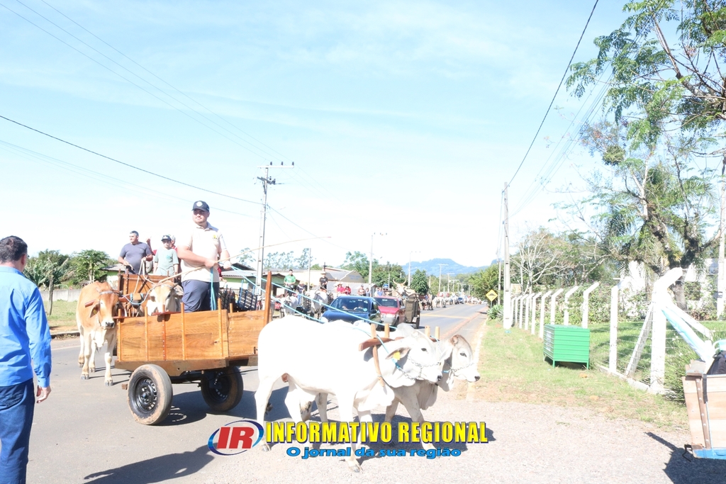 Imagem 19