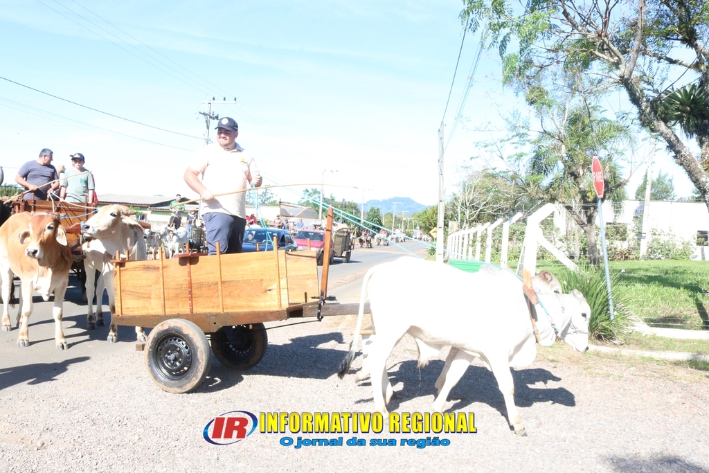 Imagem 21