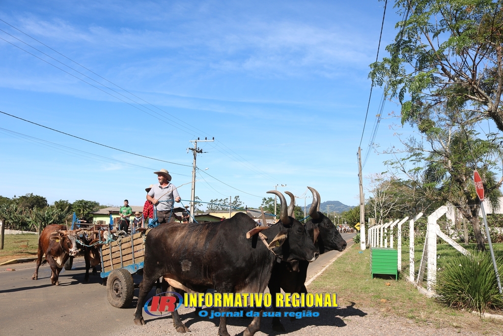 Imagem 24