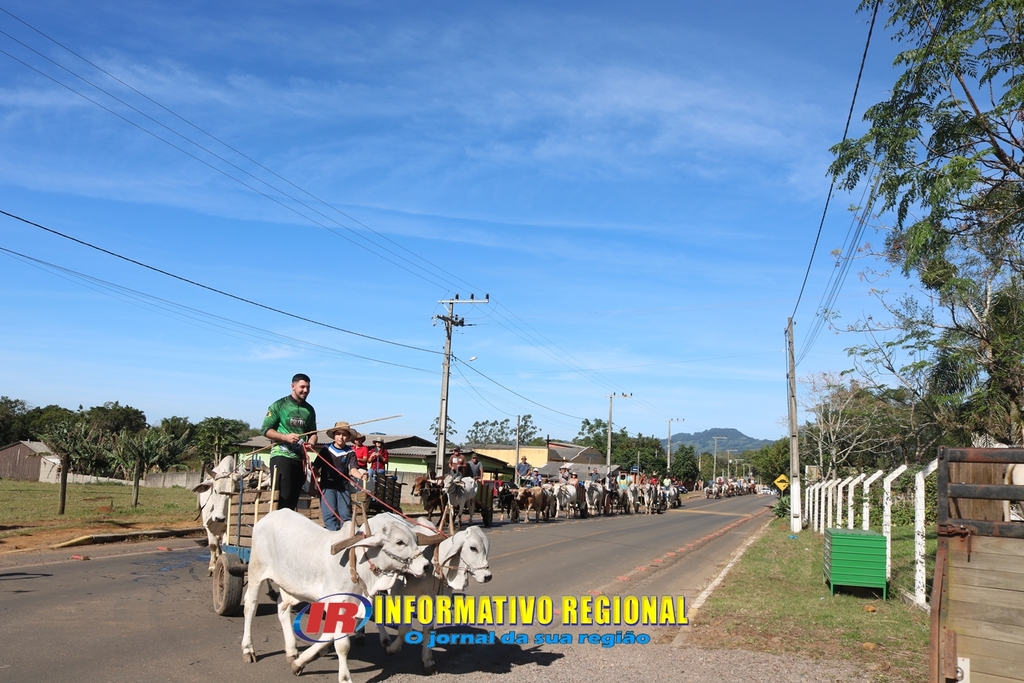 Imagem 26