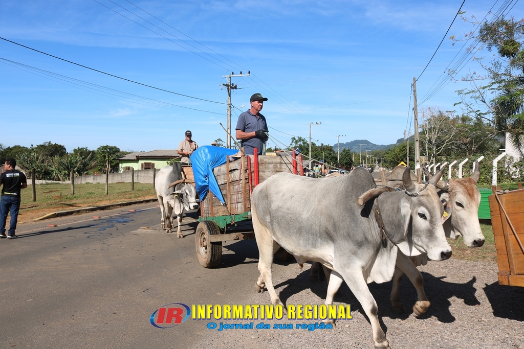 Imagem 38