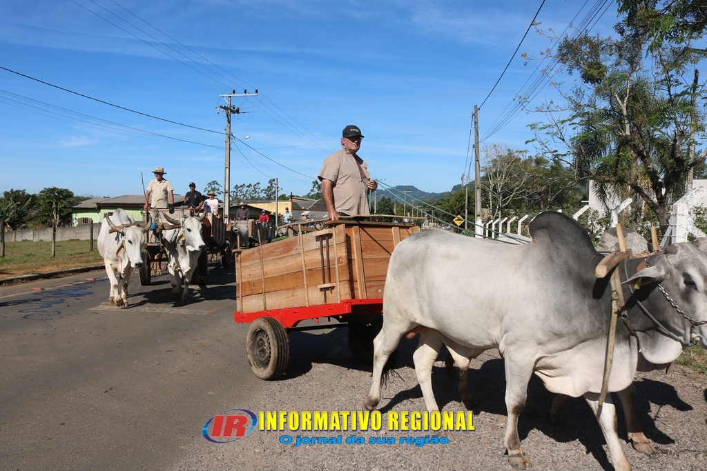 Imagem 39
