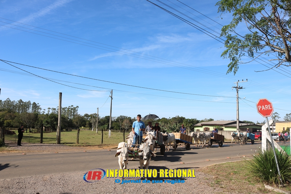 Imagem 46