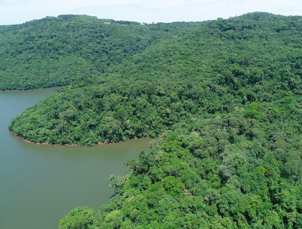 Junho Verde destaca programas ambientais e de sustentabilidade em Santa Catarina