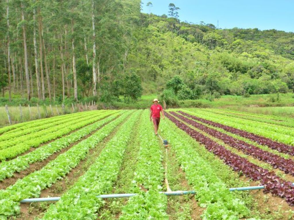 Dia do Meio Ambiente: SC Rural 2 vai beneficiar 57 mil agricultores e pescadores com ações para sustentabilidade e resiliência climática