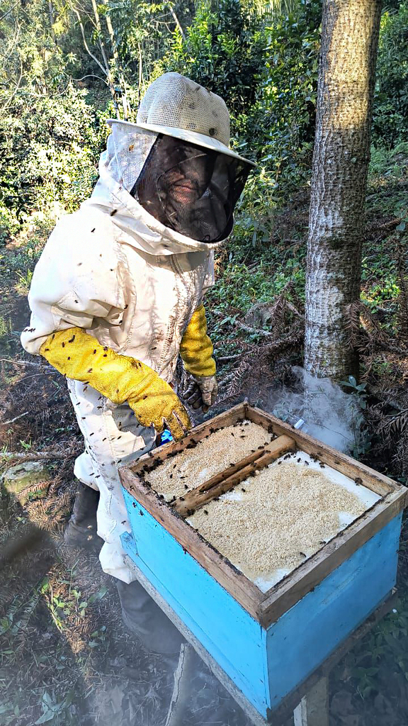 Apicultores assistidos pelo SENAR e SINDICATO RURAL DE CAPINZAL adquirem mais de 9 toneladas de açúcar para fortalecer colmeias durante o inverno