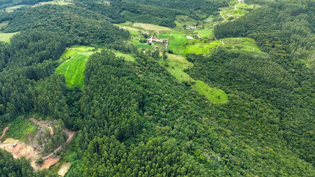 Mais Verde: Governo de Santa Catarina abre inscrições para programa que incentiva a conservação da vegetação nativa no meio rural
