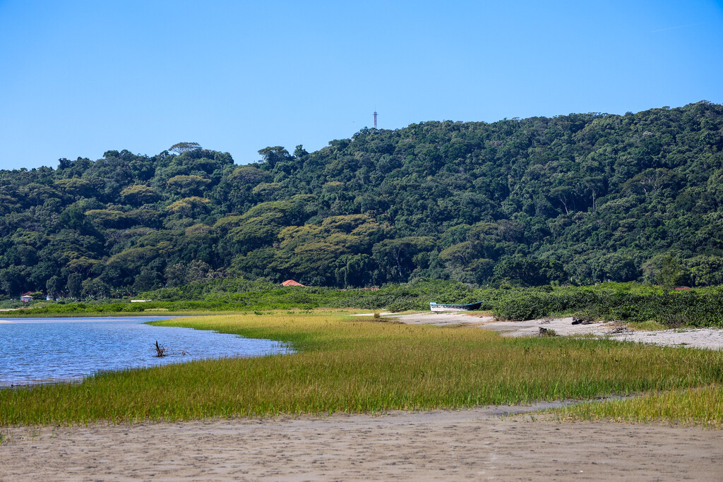Sumidouro em alerta: MPSC reúne especialistas para discutir impactos ambientais e climáticos de projeto portuário no Norte do estado