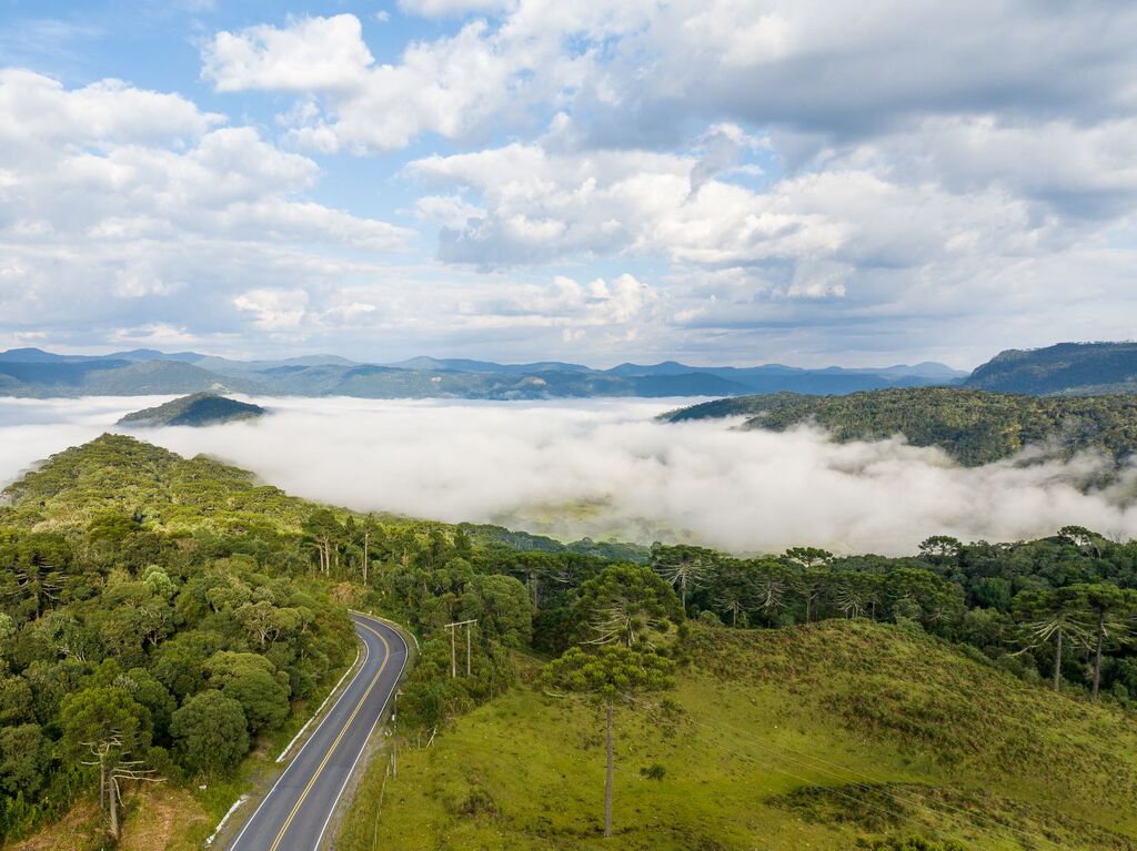 Massa de ar frio derruba temperaturas em Santa Catarina
