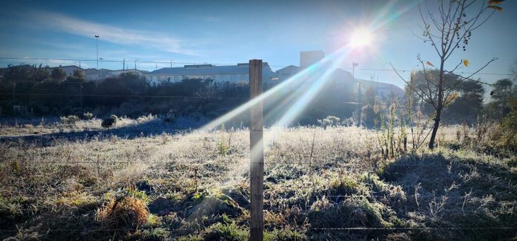 Frio intenso provoca geada ampla na Serra Catarinense; Bom Jardim da Serra registra -7,2°C