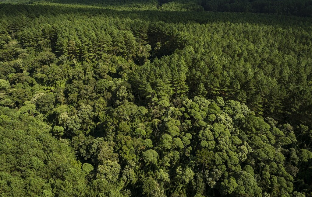 Klabin divulga Resumo Público 2026 e reforça compromisso com a conservação dos recursos hídricos em Santa Catarina