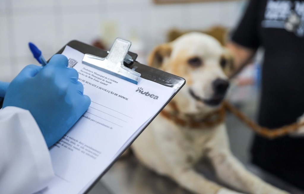 Nubea de Criciúma fortalece proteção aos animais com atendimento, castrações e adoções