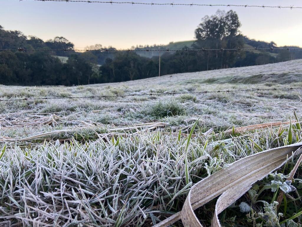 Inverno começa com onda de frio intenso em Santa Catarina