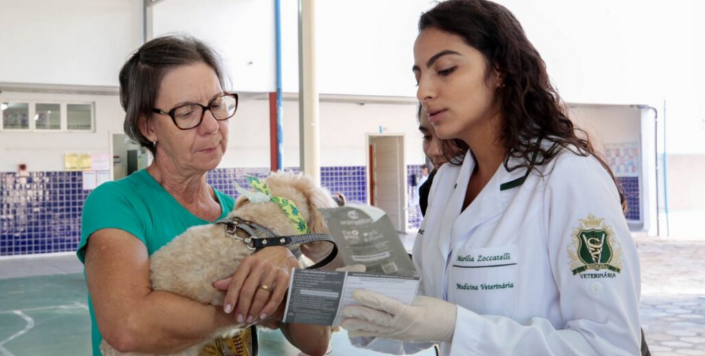 Cães e gatos poderão receber microchip e vacina antirrábica gratuitamente em Joinville