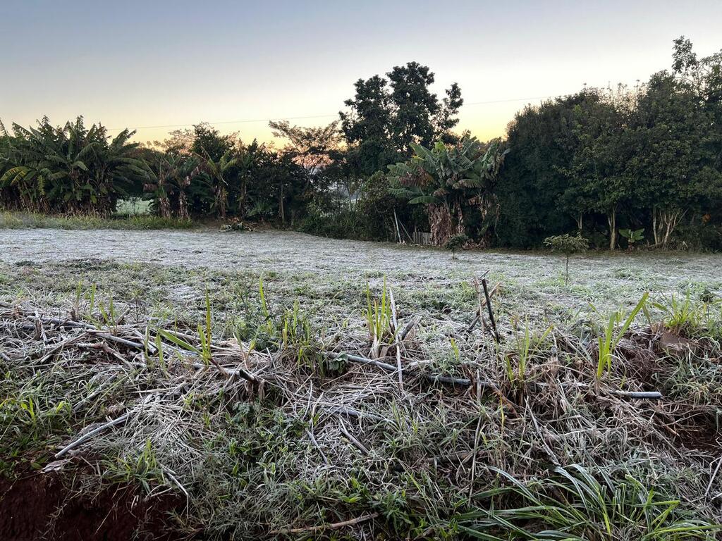 Semana é marcada por tempo estável e frio intenso em Santa Catarina