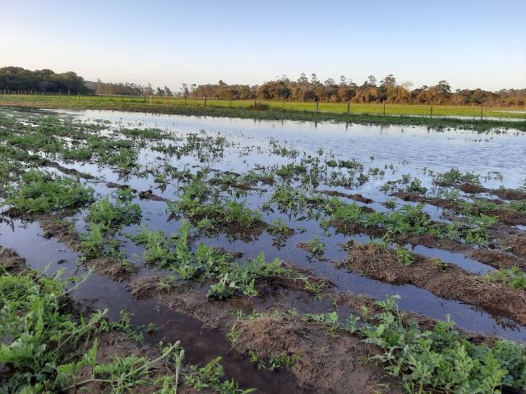Epagri realiza evento em Rio do Sul nesta segunda para orientar agricultores e jornalistas a respeito do El Niño