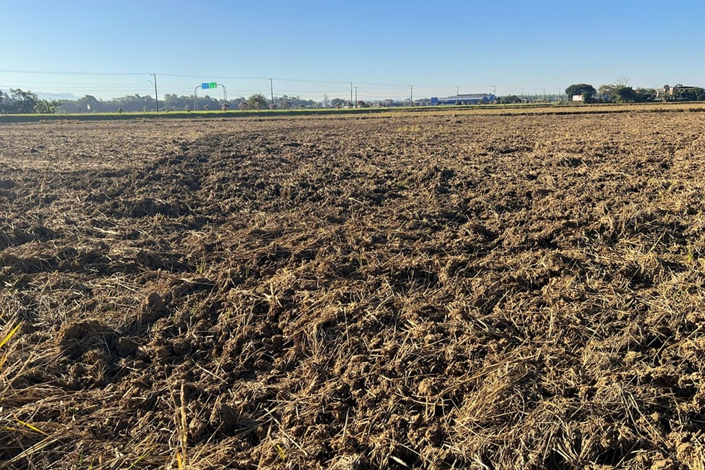 SANTA CATARINA AVANÇA NA PREPARAÇÃO DO SOLO PARA RECEBER PRÓXIMA SAFRA DE ARROZ