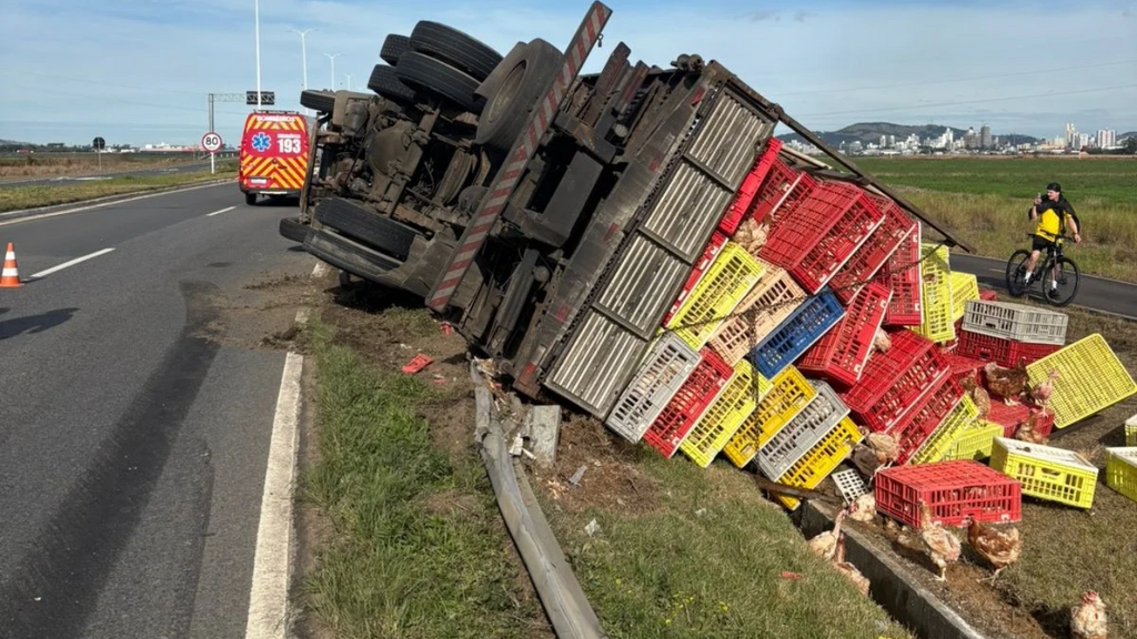 Caminhão carregado com galinhas tomba em SC; motorista e criança de 7 anos ficam feridos