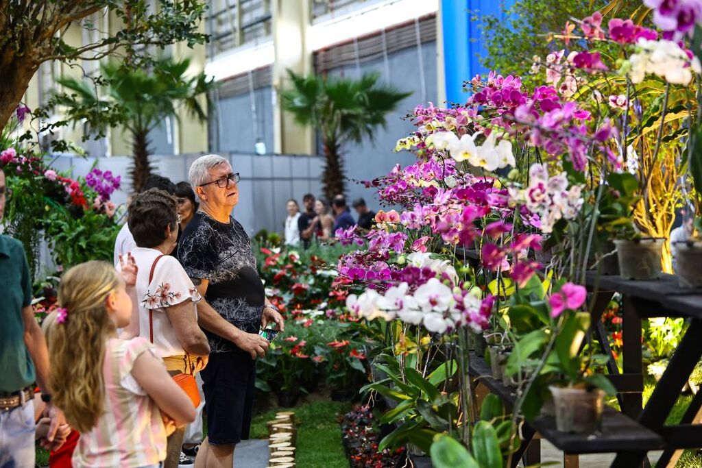 Ingressos para a 86ª Festa das Flores de Joinville já estão à venda com preços promocionais